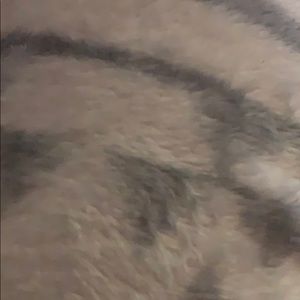 Meet your Posher, Janet